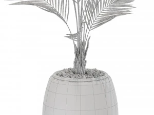 Plants collection 568 3D Model