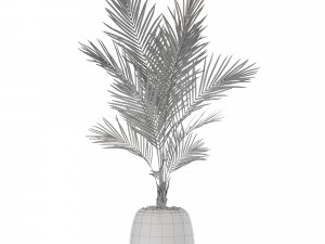 Plants collection 568 Model 3D