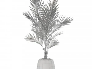 Plants collection 568 3D Model