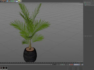 Plants collection 568 3D Model