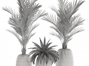 Plants collection 569 3D 모델