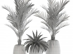 Plants collection 569 3D Model