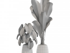 Plants collection 569 3D 모델