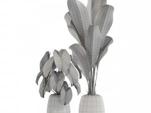 Plants collection 569 3D Model