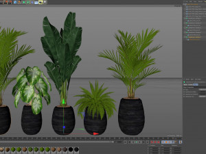 Plants collection 569 3D 모델