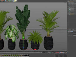 Plants collection 569 3D Model