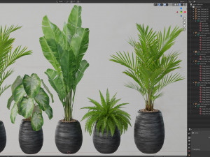 Plants collection 569 3D 모델