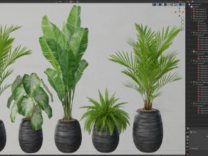 Plants collection 569 3D Model
