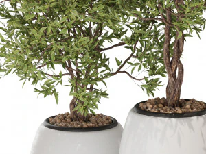 Plants collection 570 3D Model