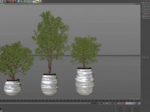 Plants collection 570 3D Model