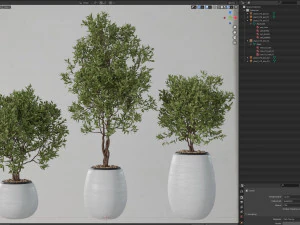 Plants collection 570 3D Model