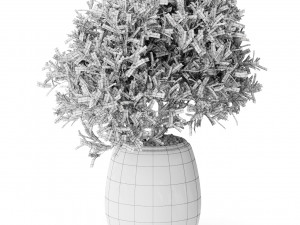 Plants collection 571 3D Modell