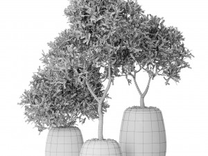 Plants collection 571 3D Modell
