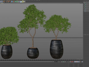 Plants collection 571 3D Modell