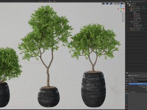 Plants collection 571 3D Modell