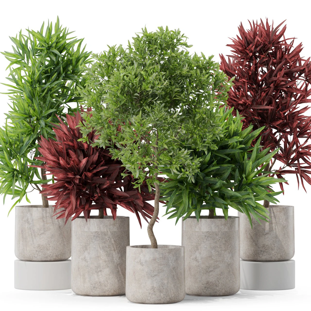 Plants collection 572 3D Model .c4d .max .obj .3ds .fbx .stl .blend 