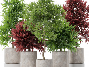 Plants collection 572 Modelo 3D