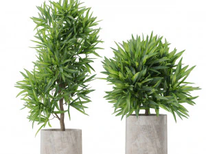 Plants collection 572 3D Model
