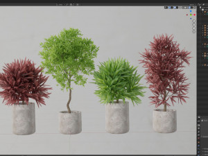 Plants collection 572 Modelo 3D