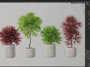 Plants collection 572 3D Model