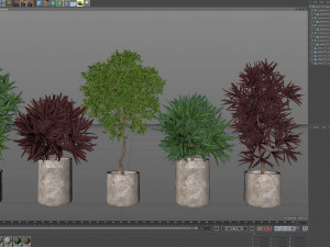 Plants collection 572 Modelo 3D