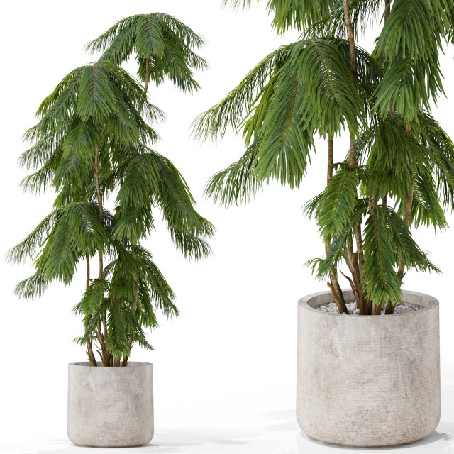 Plants collection 573 3D 模型 .c4d .max .obj .3ds .fbx .stl .blend 