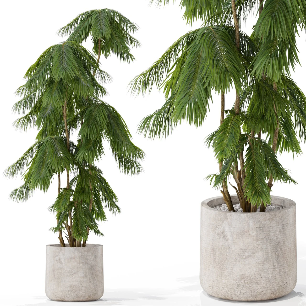 Plants collection 573 3D Model .c4d .max .obj .3ds .fbx .stl .blend 