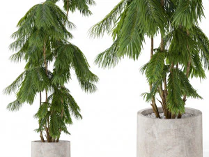 Koleksi tanaman 573 Model 3D