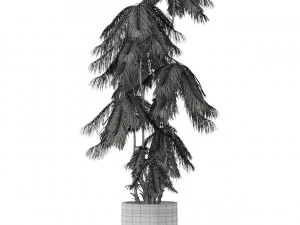Plants collection 573 3D Model