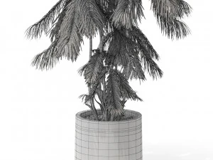 Plants collection 573 3D Model