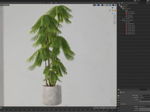Plants collection 573 3D Model