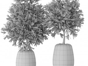 Plants collection 574 3D Model