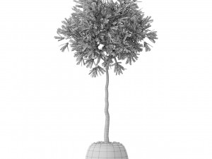 Plants collection 574 3D Model