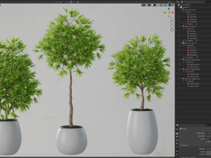Plants collection 574 3D Model