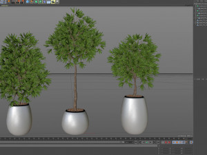 Plants collection 574 3D Model