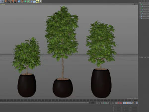 Plants collection 575 3D Model