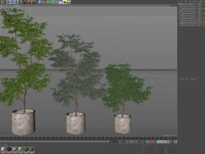 Plants collection 576 3D Model