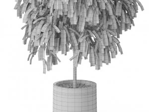 Cole&ccedil;&atilde;o de plantas 577 Modelo 3D