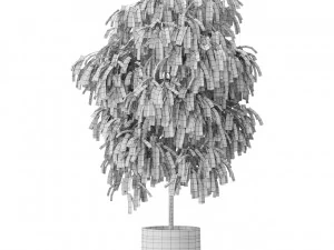 Cole&ccedil;&atilde;o de plantas 577 Modelo 3D