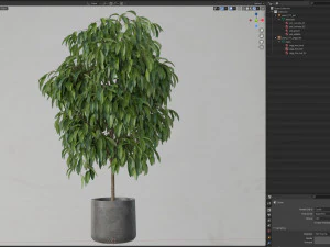Cole&ccedil;&atilde;o de plantas 577 Modelo 3D