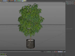 Cole&ccedil;&atilde;o de plantas 577 Modelo 3D