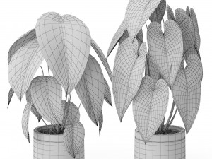 Plants collection 578 3D Model