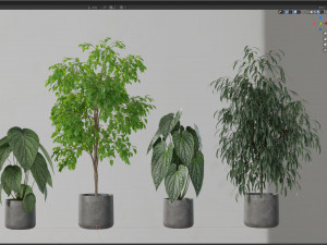 Plants collection 578 3D Model