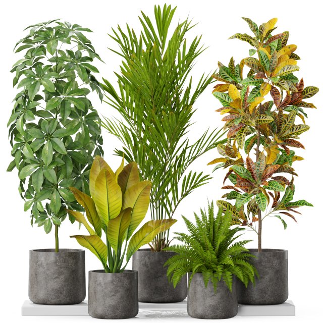 Plants collection 579 3Dモデル .c4d .max .obj .3ds .fbx .stl .blend