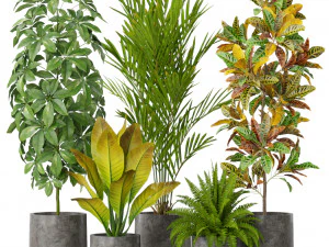 Plants collection 579 3D Model