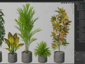 Plants collection 579 Modello 3D