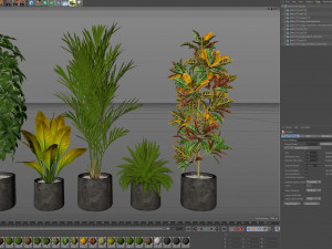 Plants collection 579 Modello 3D