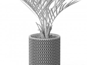 Plants collection 580 3D 模型