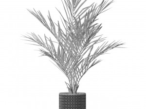 Plants collection 580 3D 模型