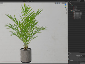 Plants collection 580 3D 模型